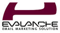 Logo EVALANCHE V4.5